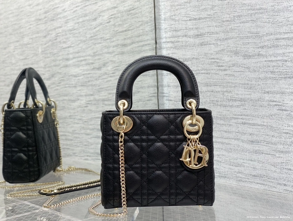 Tony Luxuries diro Calfskin Mini Lady 0722